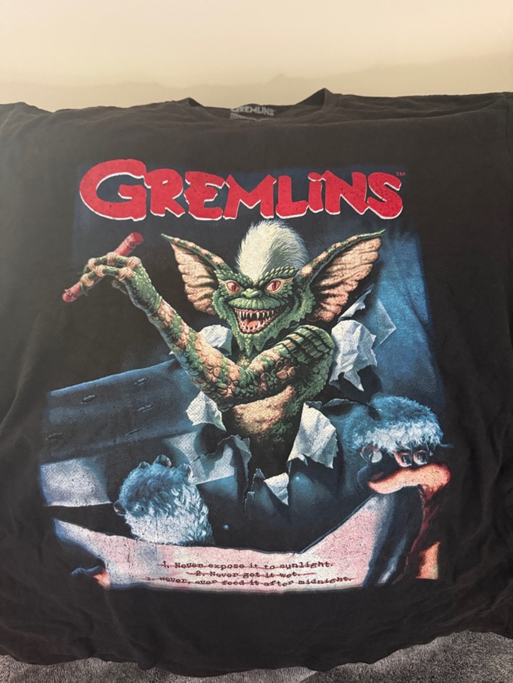 Warner Bros. Gremlins Black Graphic Tee with Red Logo and Green Character